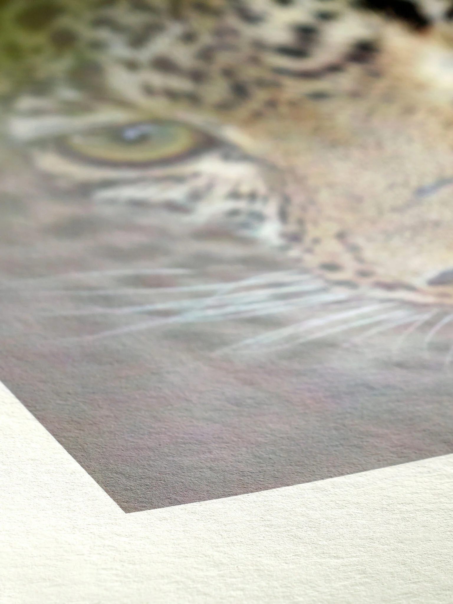 Close-up of the felt surface of Hahnemuhle Bamboo fine art paper