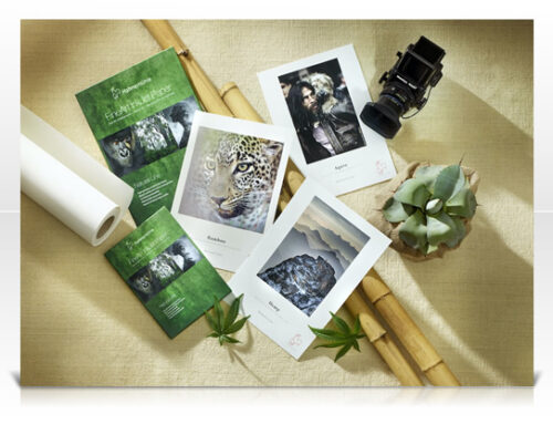 Fine Art Papers that are Earth Friendly Papers.