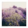 Polaroids - Digital Prints - Image 3